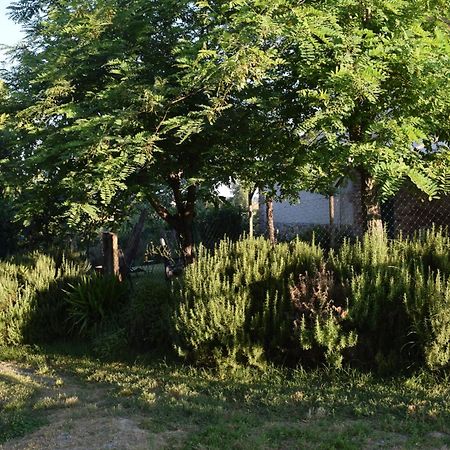 فيلا Il Saragio Abbadia di Montepulciano المظهر الخارجي الصورة