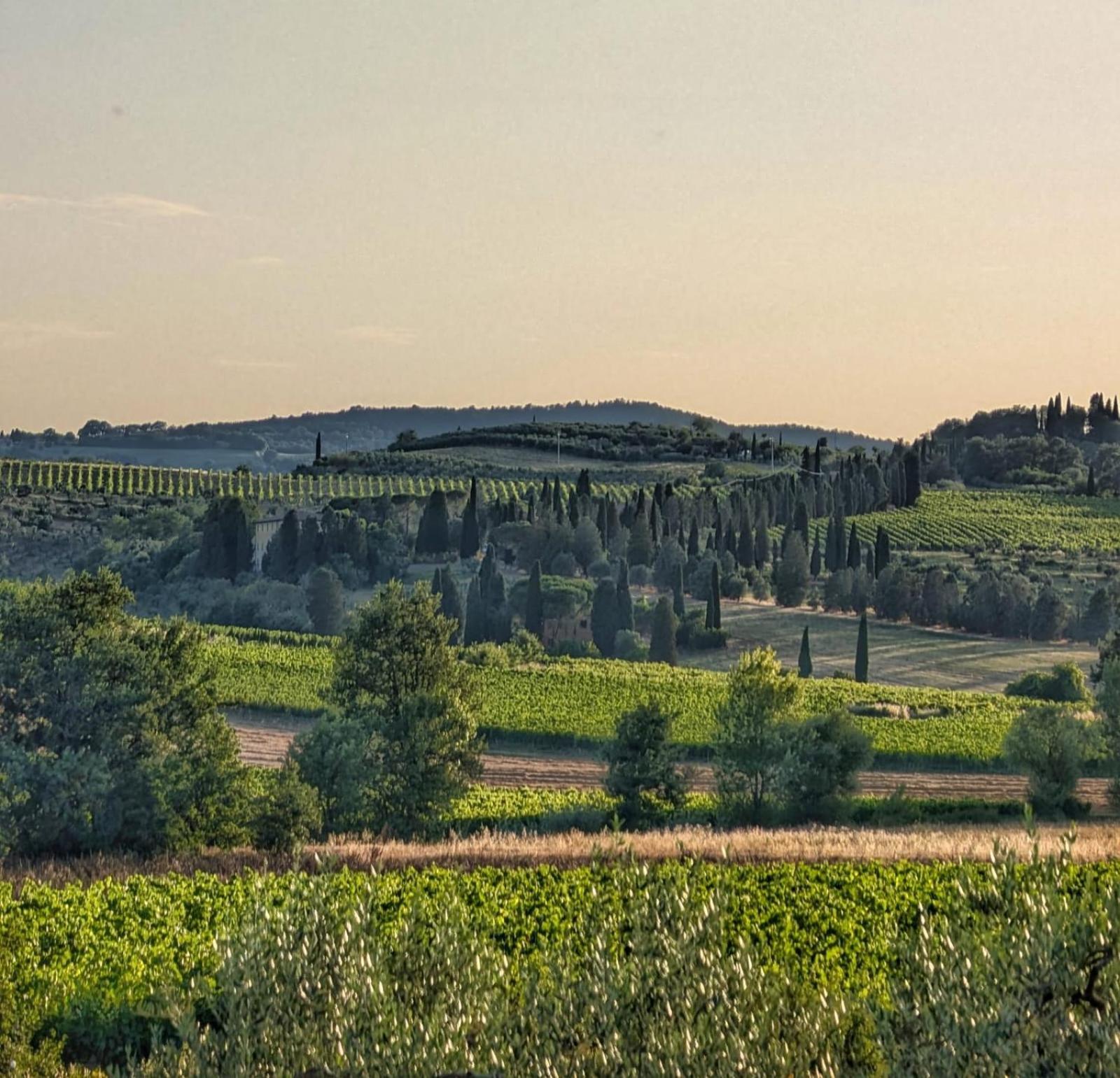 فيلا Il Saragio Abbadia di Montepulciano المظهر الخارجي الصورة